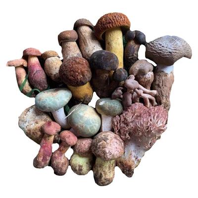 云南新鲜野生菌组合青头菌见手青