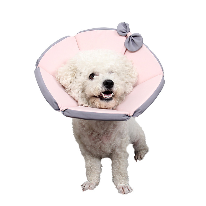 伊丽莎白圈狗防脖套大型犬