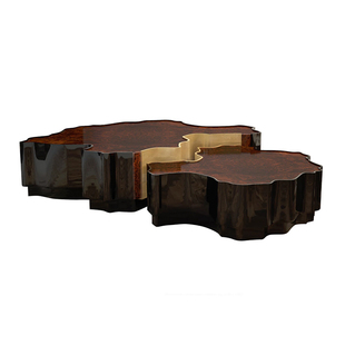 ITALY horizon coffee table异形组合茶几树瘤木纹不锈钢双色茶桌