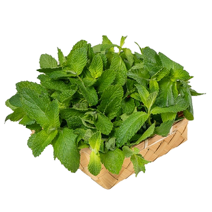 食用薄荷叶新鲜蔬菜顺丰泡水烘焙调酒水吧500g香料可食用非盆栽