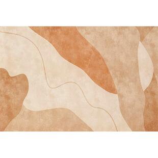 PVC 入户门地垫侘寂风高端皮革免洗地毯日式玄关进门垫子门口脚垫