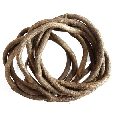 树藤枯藤藤条装饰藤蔓树枝枝干