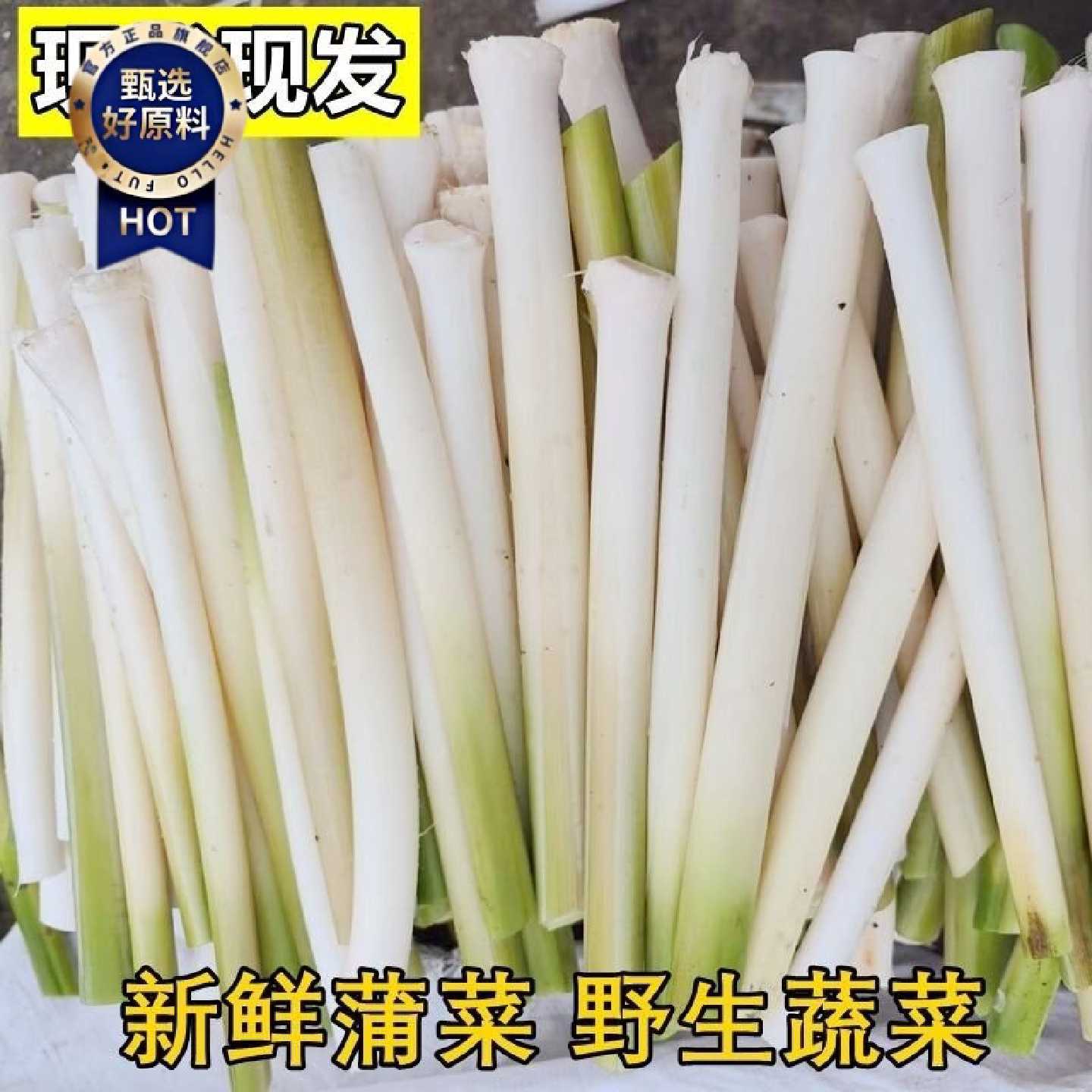 新鲜蒲菜野菜交白蒲草芯蒲笋蒲儿菜去老皮2斤4斤8斤农产品湖北产