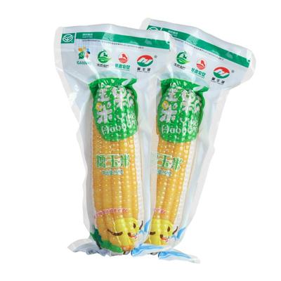 甘肃黄羊河黄糯玉米10根真空包装