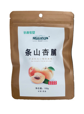 甘肃景泰条山农场100g袋装杏脯