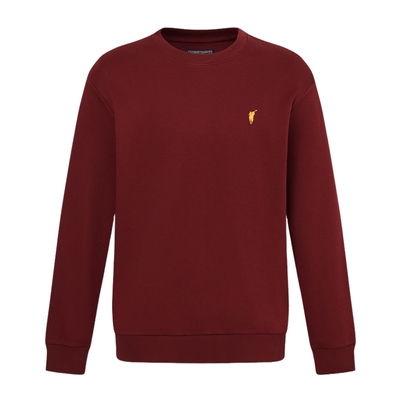 POLOWALK男装卫衣2025秋季新品商务绅士简系休闲套头长袖上衣男式