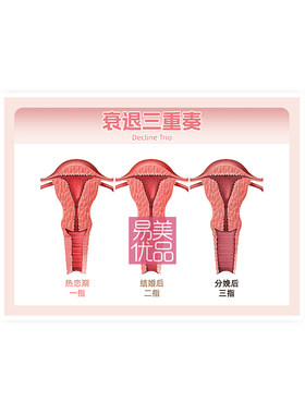 妇科宫颈私处疾病子宫生殖变化解剖图谱产康私密宣传纸页塑封医美