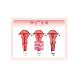 妇科宫颈私处疾病子宫生殖变化解剖图谱产康私密宣传纸页塑封医美