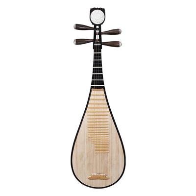 乐海琵琶乐器初学者入门