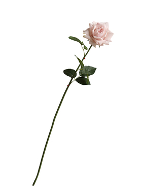 玫瑰仿真花高级感逼真假花