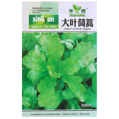 大叶茼蒿种子皇帝秋播蔬菜