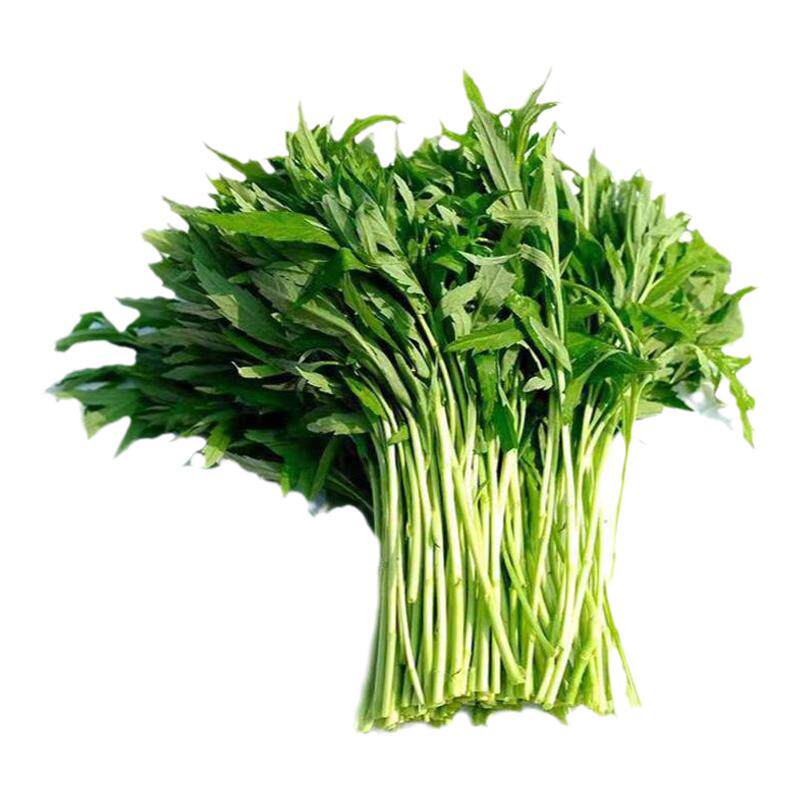 新鲜芦蒿藜蒿现摘现发新鲜蔬菜