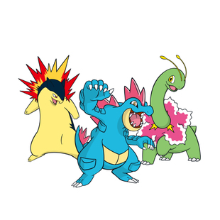 大竺葵火暴兽大力鳄NSwitch2宝可梦朱紫御三家6V闪光精灵交换HOME