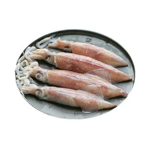 舟山笔管鱿鱼冷冻籽乌海兔子新鲜带黄句公柔鱼枪乌贼海鲜水产