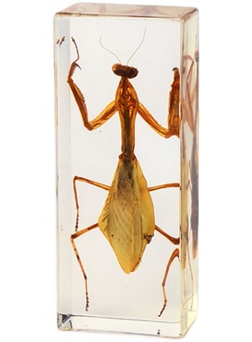 家居人工书镇树脂开学季摆件