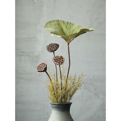 装饰天然摆件带籽干荷花长杆真杆莲蓬干花花束客厅摆设仿真莲花
