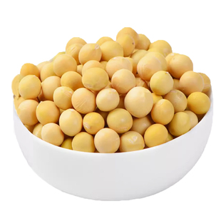 早黄豆种籽大豆种子高产特早熟发豆芽孑黄大豆种大粒大全自种毛豆