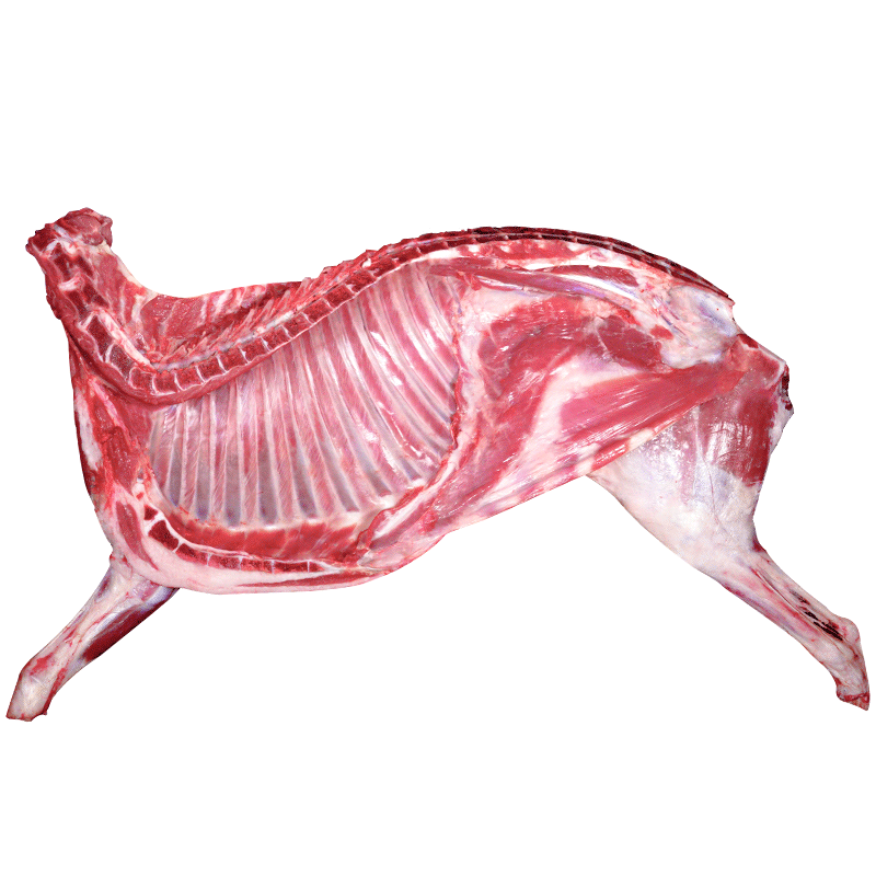 羊肉新鲜半只羊10斤乳羔羊