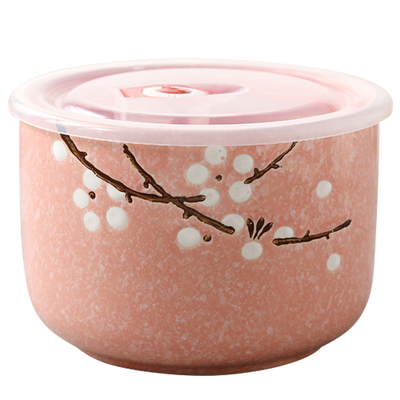 陶瓷日式学生便携保鲜碗打包泡面