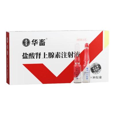 盐酸肾上腺素急救针兽用强心针