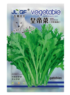 中叶茼蒿种籽皇帝菜四季