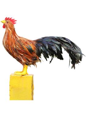 仿真锦鸡摆件真羽毛模型