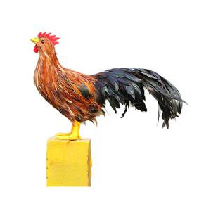 仿真山鸡蓝马鸡公鸡火鸡红腹锦鸡褐马鸡摆件庭院摄影道具装饰模型