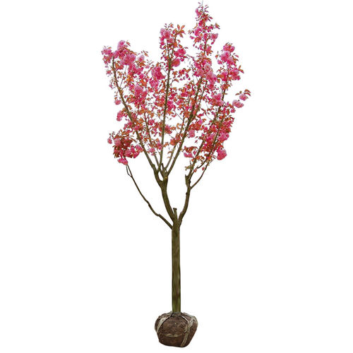 樱花树苗庭院大树日本晚樱种植花卉盆栽风景树吉野八重樱开花带花