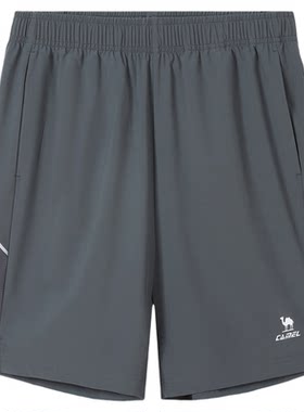 骆驼夏季速干冰感透气运动短裤男