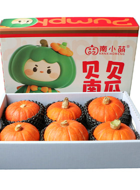 【稀有品种】南小萌金贝红贝南瓜