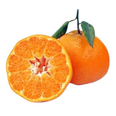 顺丰包邮春见耙耙柑嫩甜多汁