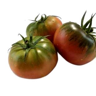 草莓柿子籽西红柿种孑沙瓤番茄种子好吃粉果大棚露天阳台庭院