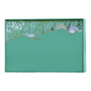 2026新款绿茶2铁罐茶叶包装空盒绿茶龙井碧螺春毛尖三两装空礼盒