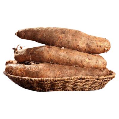 云南产地灵芝山药软糯蔬菜秤