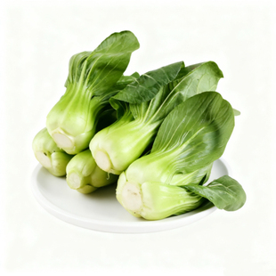 宁夏青菜新鲜蔬菜上海青供港小青仔软糯清甜小青菜小油菜矮脚青菜