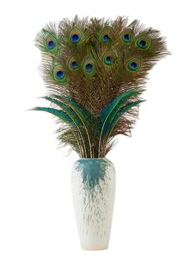 纯天然真孔雀羽毛饰品摆件