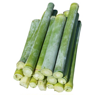 禾之元甜杆种子芦粟甜高粱杆籽甘蔗种籽水果春季四季甘蔗种子甜杆