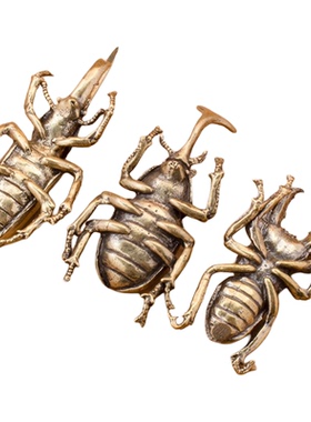 黄铜甲壳虫小摆件昆虫茶宠饰品