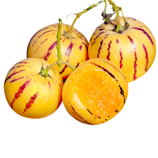 云南人参果水果10斤大果黄肉新鲜石林人叁果树上熟人生果圆果整箱