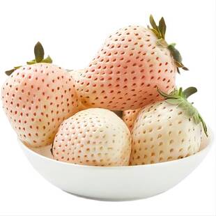 【顺丰空运】淡雪白草莓奶油新鲜水果礼盒节日生日礼物高端非丹东