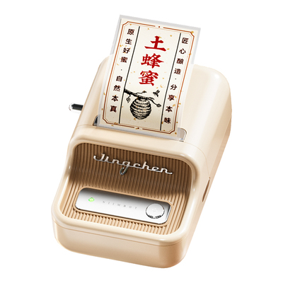 精臣B21Pro牛皮纸标签打印机