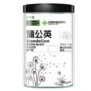 蒲公英茶野特级生药浦公英根叶去火散茶泡水喝官方旗舰店正品玫瑰