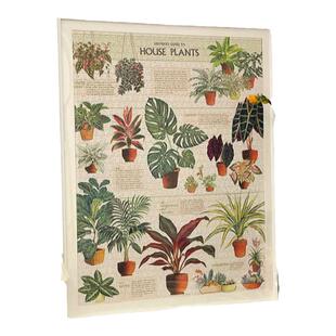 Cavallini拼图1000片美国进口美式复古成人益智玩具治愈裱框盆栽