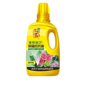 营养液花卉通用型水培多肉绿萝
