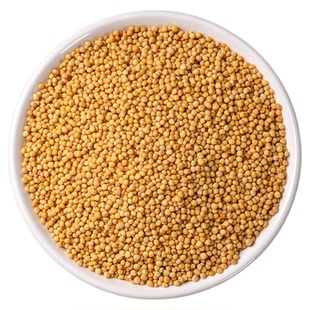 黄芥子中药材正品官方旗舰店芥末籽黄芥末籽粒香料芥菜籽芥茉子粉