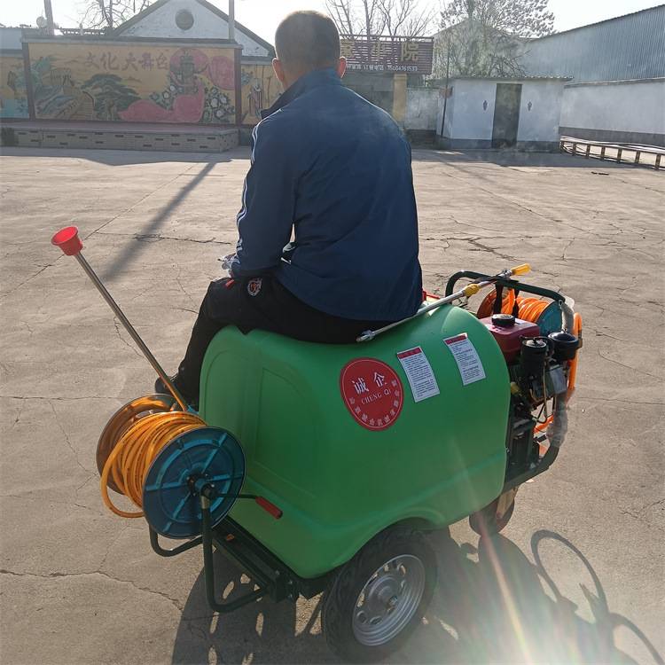 柴油电启动推车式打药机300L 园林物业手推式打药车