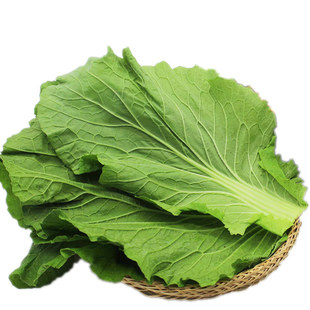 东北饭包白菜叶打饭包的大白菜叶子新鲜农家蘸酱蔬菜组合送酱顺丰