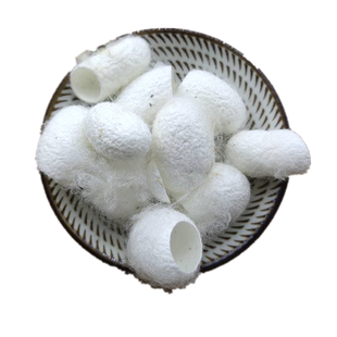 蚕茧 中药材正品天然500g包邮药用蚕蛹壳蚕衣 茧黄 蚕茧壳蚕茧子