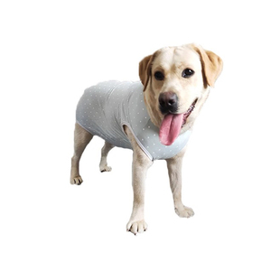 中大型犬连体生理裤母狗月经期衣服卫生裤防骚扰避孕包肚子背心薄