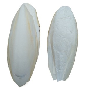 墨鱼骨玄凤虎皮鹦鹉鸟食饲料粮食磨牙零食啃咬用品补钙鹦鹉用品